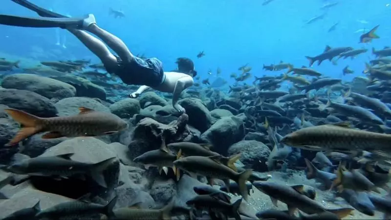 foto diving di pemandian alam banyu biru