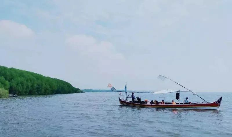 foto tour penunggul mangrove park